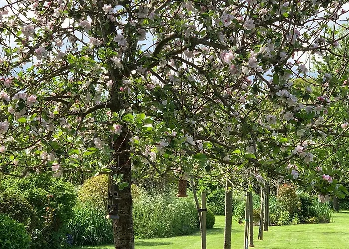 The Cider Shed Bed And Breakfast