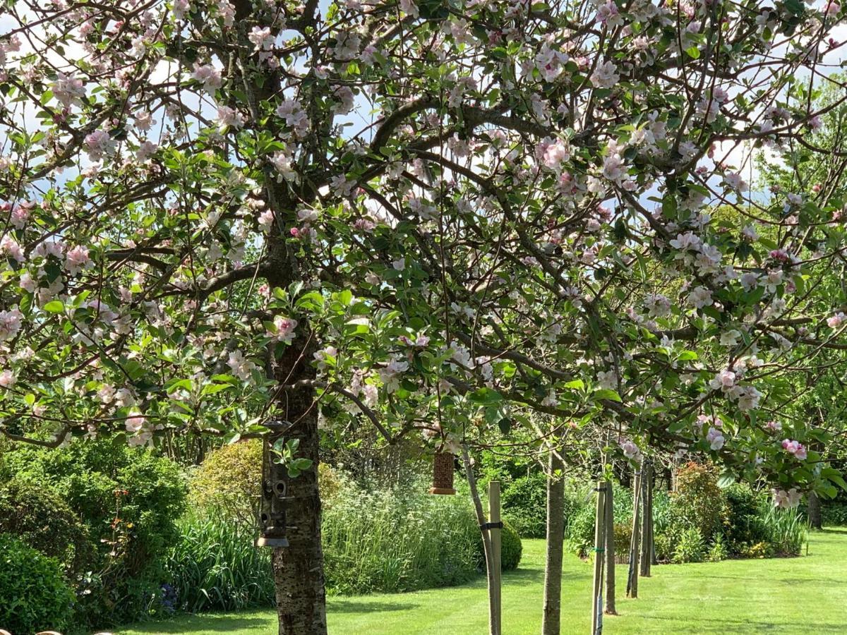 The Cider Shed *
